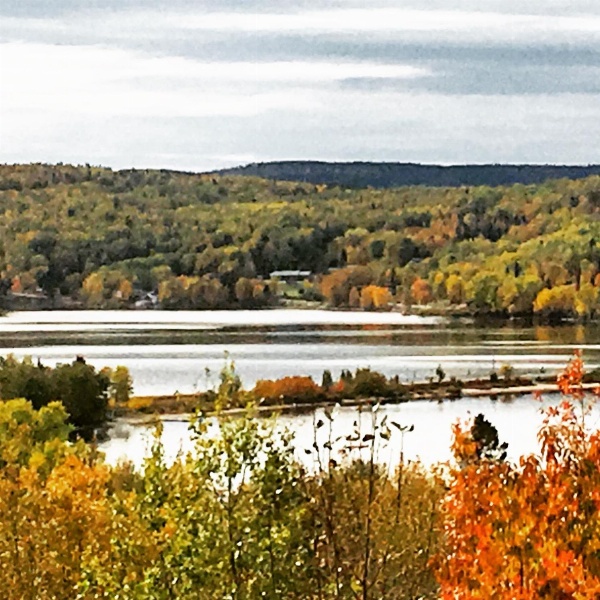 Auberge Motel Panorama image 4